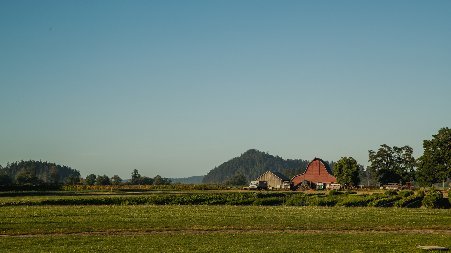 Your Farmer Has a Name