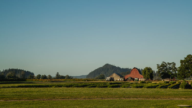 Your Farmer Has a Name