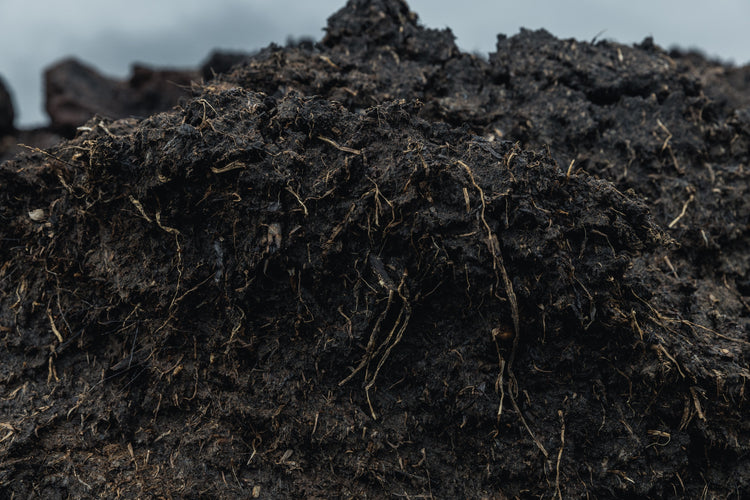 A Closer Look: Scottish Peat vs. Pacific Northwest Peat