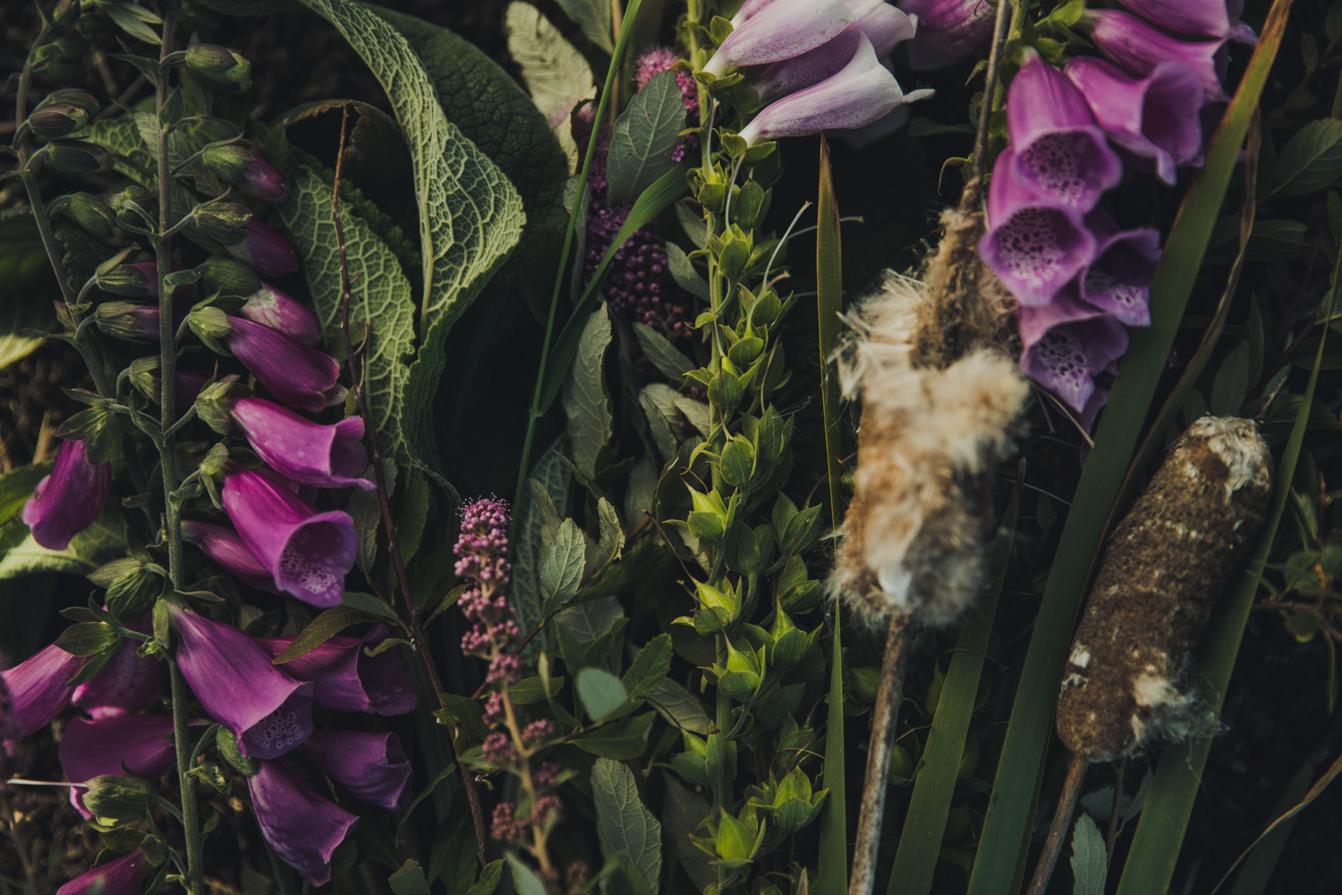 A Spring Pause For Mother’s Day