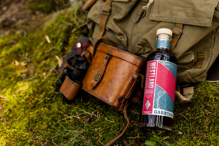 A bottle of whiskey resting near a satchel 