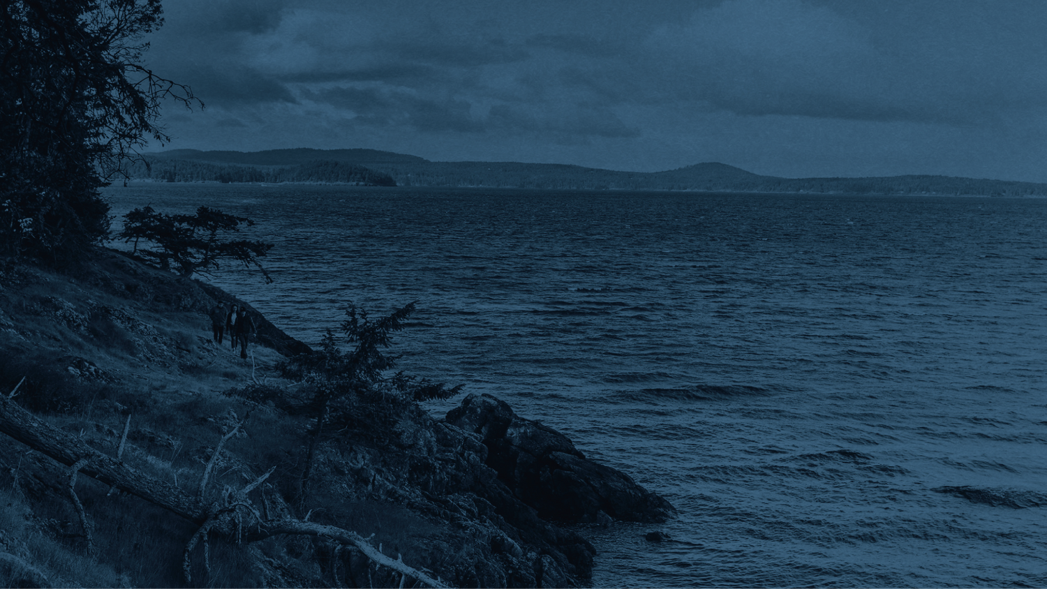 Sustainability Report Biennial - Changing the Whiskey Landscape