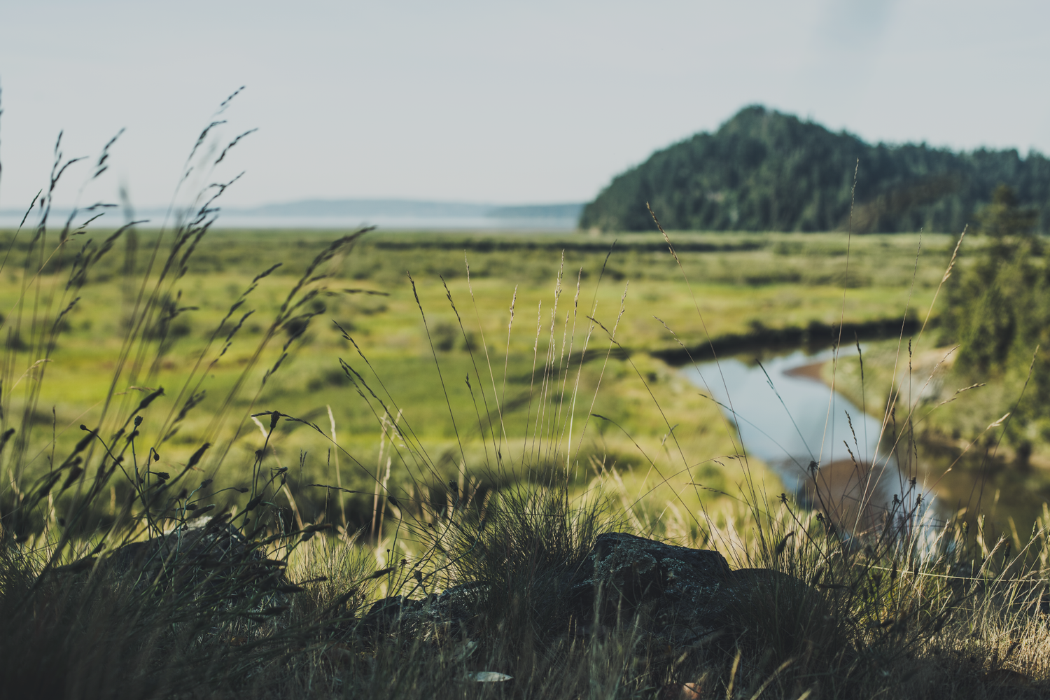 The Roots of Pacific Northwest Terroir